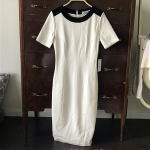 Gorgeous fitted stretch work cocktail dress